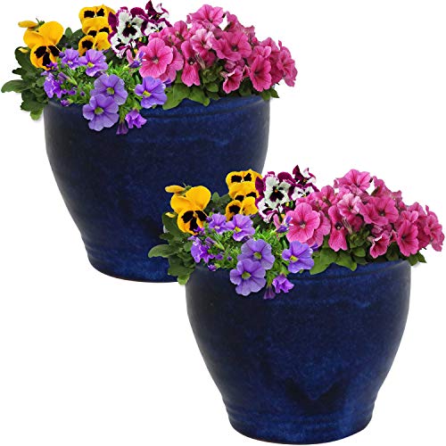 Sunnydaze Planter Review: Blue Glaze Beauty After 1 Month