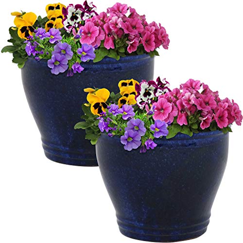 Sunnydaze Planter Review: Worth It After 6 Months? YES!