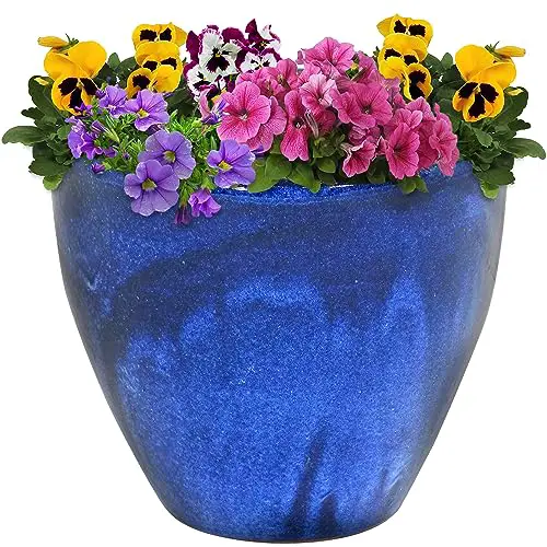 Sunnydaze Pot Review: Game-Changing Planter for Your Resort!
