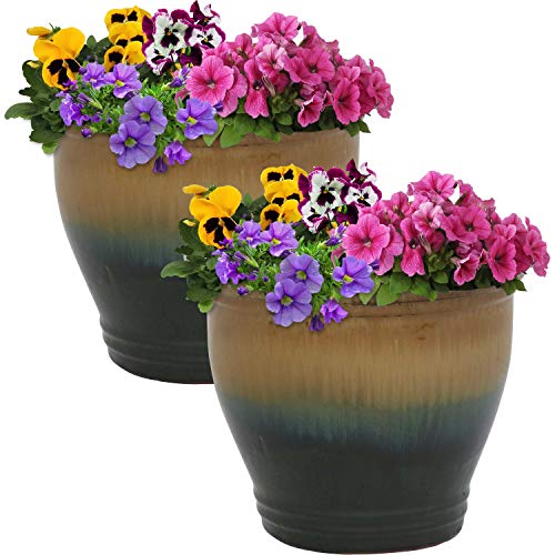 Sunnydaze Planter Review: Worth It After a Season?