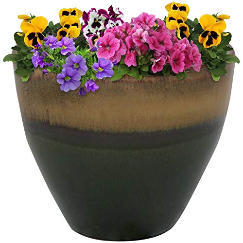Sunnydaze Plant Pot Review: A Lush Upgrade for Your Garden