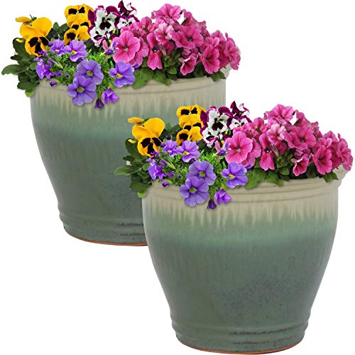 Sunnydaze Planter Review: Stylish Pots for Plant Lovers