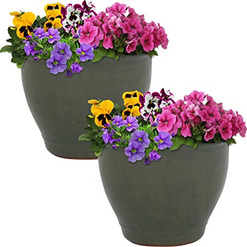 Sunnydaze Planter Review: Game-Changing Pots for Plant Lovers