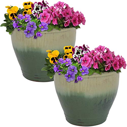 Sunnydaze Planter Review: Game-Changing Pots for Plant Lovers