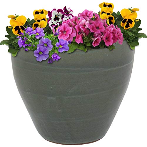 Sunnydaze Plant Pot Review: A Game-Changing Planter!