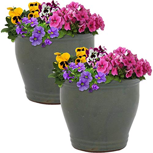 Sunnydaze Planter Review: A Stylish Choice for Plant Lovers