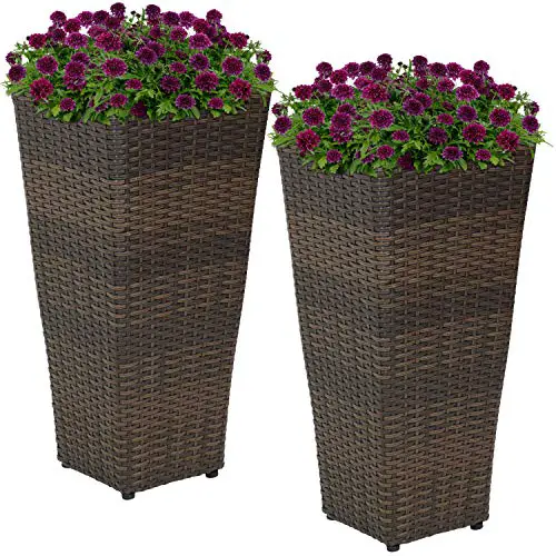 Sunnydaze Planters Review: Worth It After 6 Months?