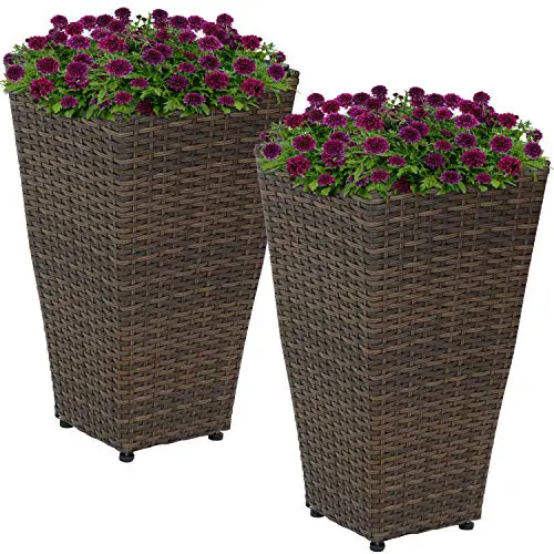 Sunnydaze Planters Review: Worth It After 6 Months of Use?