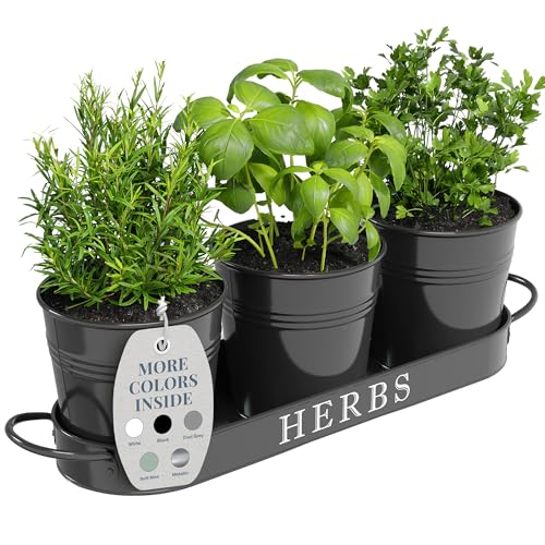 Barnyard Designs Herb Planter Review: Worth It? Verdict Inside