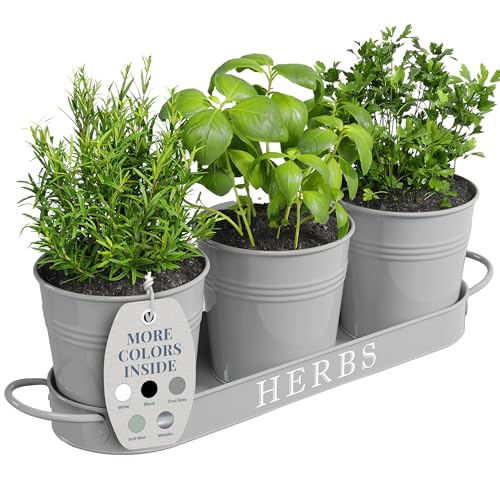 Barnyard Designs Planter Review: Stylish Herb Garden!