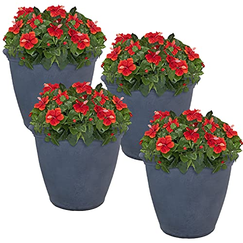Sunnydaze Planter Review: Worth It After 6 Months?