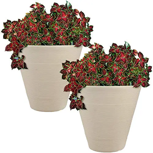 Sunnydaze Walter Pot Review: Stylish Planters Worth It?