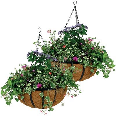 Gardman Forged Hanging Baskets Review: Game-Changing Planters