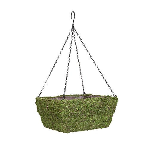 PANACEA Basket Review: Game-Changing Planter for Green Thumbs