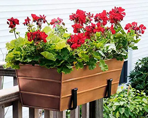 Achla Designs Copper Plated Flower Boxes, Medium, 23.5